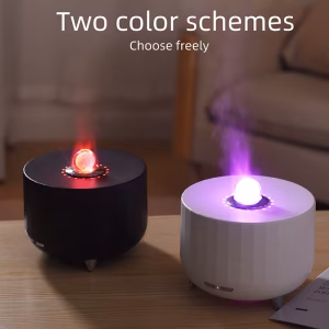 Dragon Ball Portable Air Humidifier & Diffuser price in Bangladesh